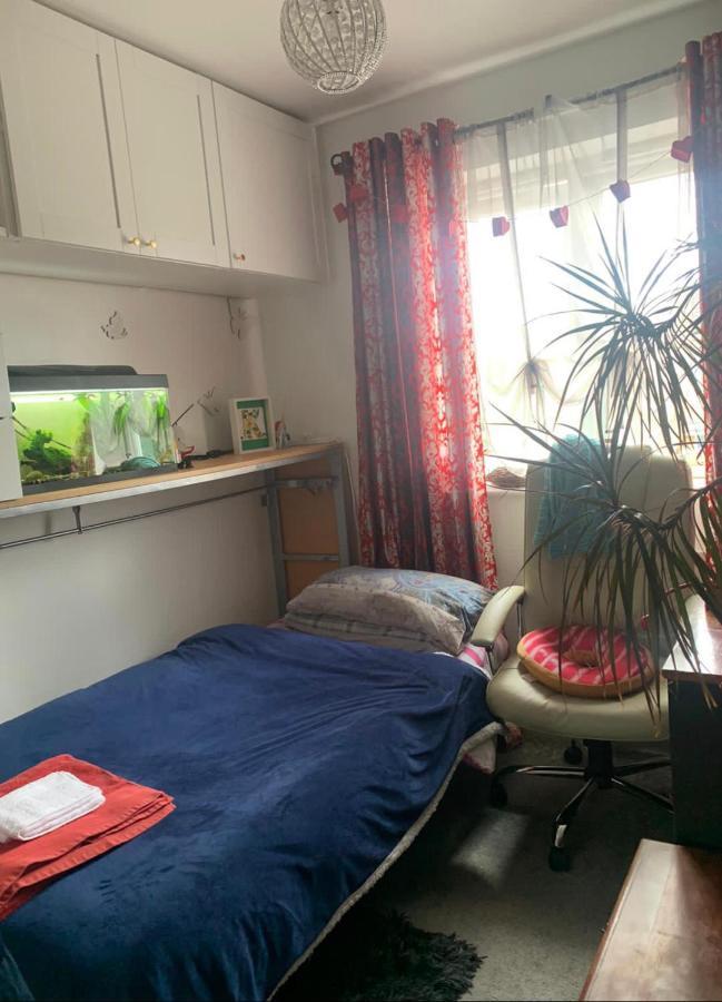 Cosy Room In London Wembley Kültér fotó